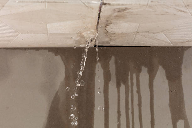 Professional Structural Drying technician working in McComb, OH